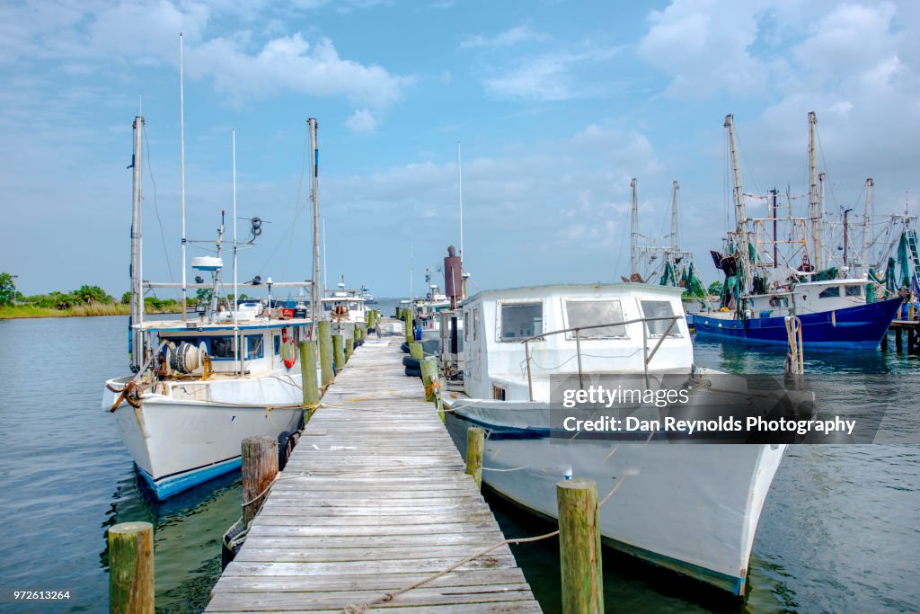 Shrimp Boats at Dock