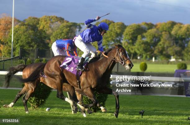 Fantastic Light comes from behind to win the Breeders' Cup Turf race as jockey Lanfranco Dettori raises his riding crop in celebration at Belmont...