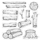Wood, burning materials. Vector sketch illustration collection. Materials for wood industry. Stump, branch, timber. Tree lumber