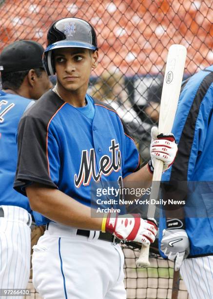 Fernando Martinez, the 16-year-old Dominican outfielder handed a $1.4 million signing bonus by the New York Mets, takes batting practice with the...