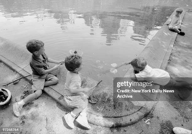 Sam Powers, Jack Powers, Daniel Straus and far right Andrew Dolnick try to catch crawfish on a beautiful day in Central Park with the rerflection of...