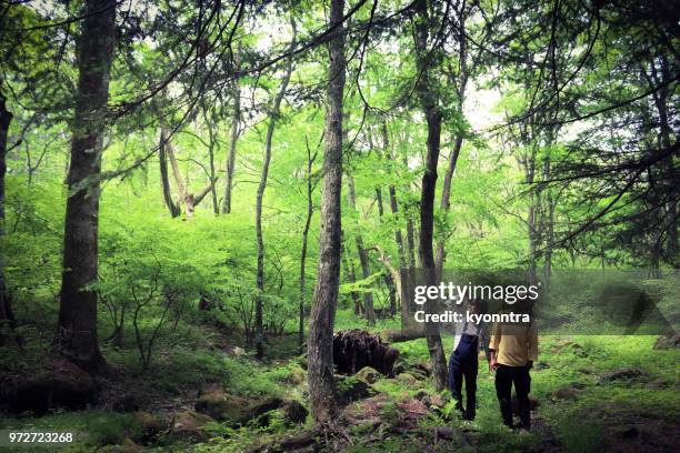 grávida na floresta - kyonntra - fotografias e filmes do acervo