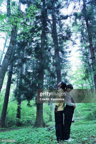 pregnant in the forest - kyonntra stock pictures, royalty-free photos & images