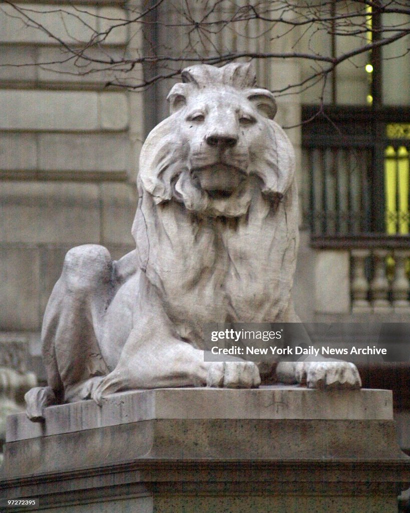 Lions in front of the New York Public Library building 5th A
