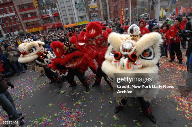 Lions line up for cabbage during the the Year of the Rat celebration in Chatham Square, Chinatown
