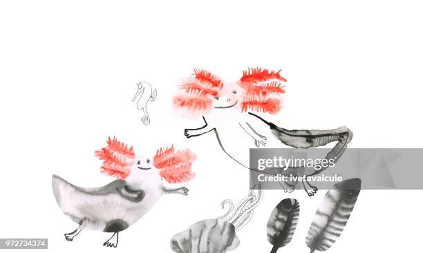 salamander - mini beasts - salamander stock illustrations