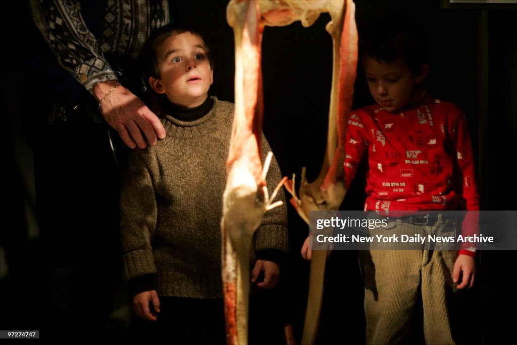 Boy is wide-eyed as he encounters a skeleton on the opening