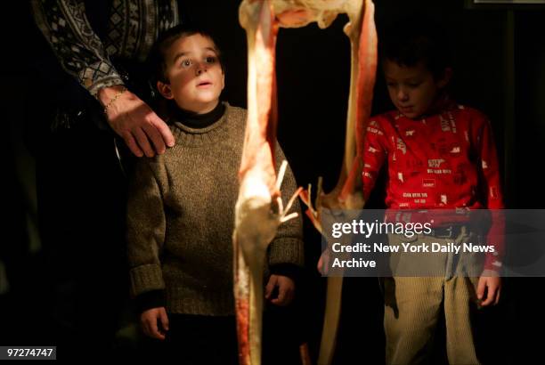 Boy is wide-eyed as he encounters a skeleton on the opening day of "Bodies...The Exhibition" in the new Exhibition Centre at the South Street...