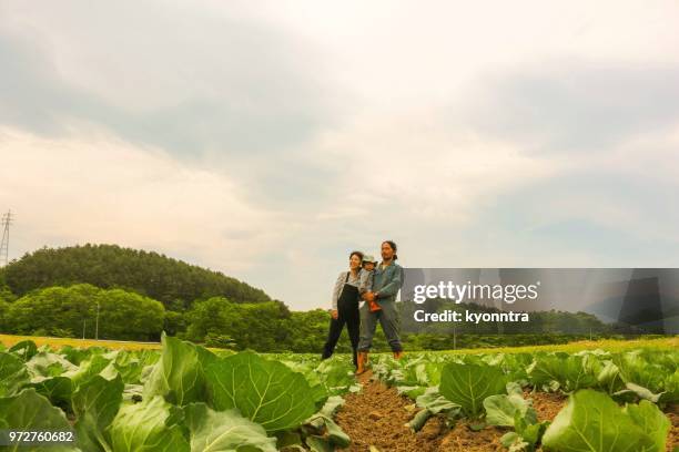japanese farmers family - kyonntra stock pictures, royalty-free photos & images