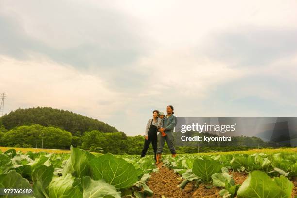 família de agricultores japoneses - kyonntra - fotografias e filmes do acervo