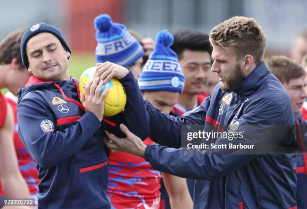 Luke Dahlhaus of the Bulldogs and Jackson Trengove of the Bulldogs compete for the ball during a Western Bulldogs AFL training session at Whitten...