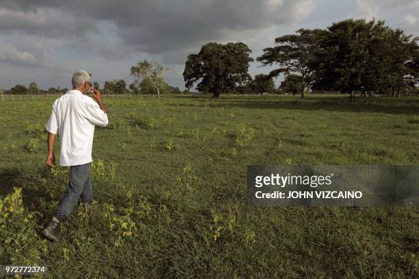 Jose Alarcon walks in his farm in Cedro Cocido, near Leticia in rural Monteria, Cordoba Department, northern Colombia, on June 7, 2018. - Alarcon...