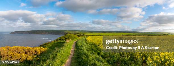 colourful clifftops on the cleveland way, north yorkshire, england - stitching fotografías e imágenes de stock