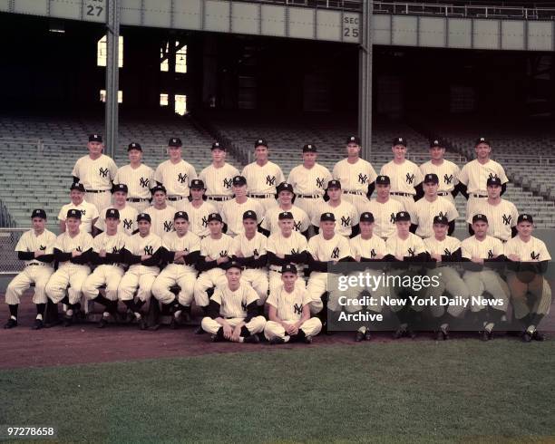 New York Yankees 1953 Team by Cranston & Klein Daily News, 1st Row-Batboys: Joseph Carrieri & Dick Manzidelis, 2d Row-Art Shallock, Ed Ford, Billy...