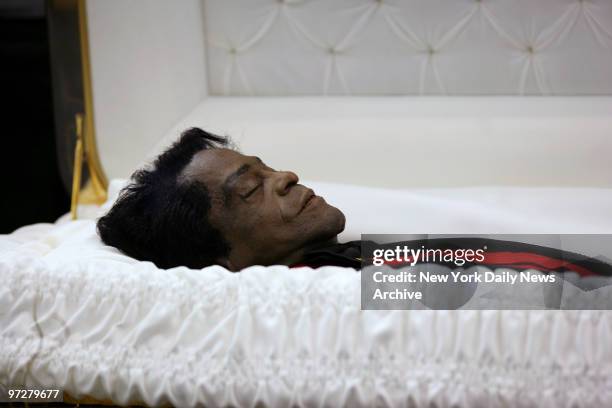 James Brown's body, clad in a black diamond-studded jacket, red shirt, black pants and silver-tipped shoes, lies in repose inside a gold coffin as...