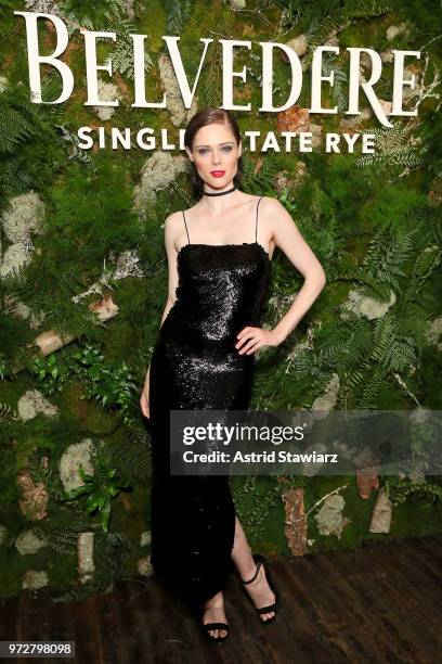 Coco Rocha attends the launh of Belvedere Vodka's Single Estate Rye Series at Inaugural Bar Convent Brooklyn on June 12, 2018 in New York City.
