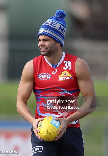 Jason Johannisen of the Bulldogs runs with the ball during a Western Bulldogs AFL training session at Whitten Oval on June 13, 2018 in Melbourne,...