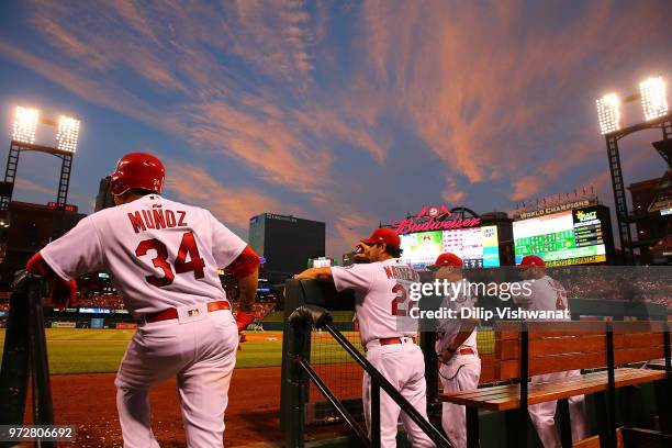 Yairo Munoz and Mike Matheny of the St. Louis Cardinals watch an at-bat against the San Diego Padres in the fifth inning at Busch Stadium on June 12,...