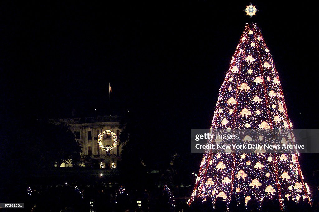 The National Christmas tree shines brightly in the night aft