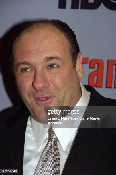 James Gandolfini attends the world premiere of the sixth season of "The Sopranos" at the Museum of Modern Art in Manhattan. He stars in the HBO seies.