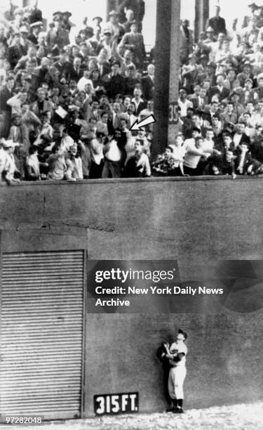 Brooklyn Dodgers' left fielder Andy Pafko, back as far as he can go, appears to be pushing wall in effort to collar game winning 3-run homer in the...