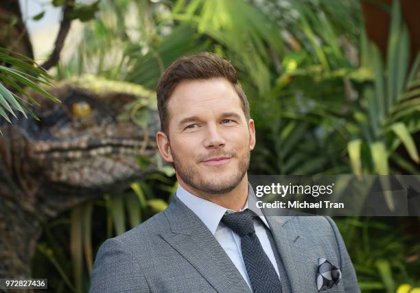 Chris Pratt arrives to the Los Angeles premiere of Universal Pictures and Amblin Entertainment's "Jurassic World: Fallen Kingdom" held at Walt Disney...