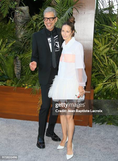 Jeff Goldblum attends the premiere of Universal Pictures and Amblin Entertainment's "Jurassic World: Fallen Kingdom" on June 12, 2018 in Los Angeles,...