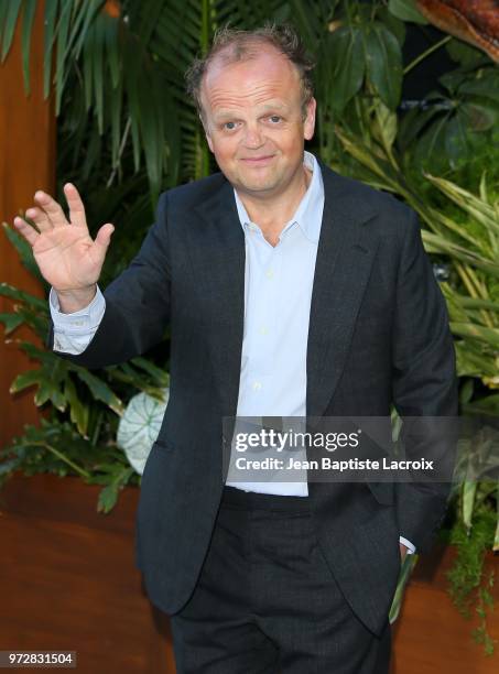 Toby Jones attends the premiere of Universal Pictures and Amblin Entertainment's "Jurassic World: Fallen Kingdom" on June 12, 2018 in Los Angeles,...