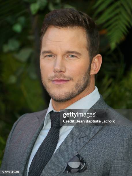 Chris Pratt attends the premiere of Universal Pictures and Amblin Entertainment's "Jurassic World: Fallen Kingdom" on June 12, 2018 in Los Angeles,...