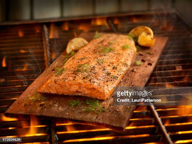 cedar plank salmon cooking on the bbq - rustic salmon fillets stock pictures, royalty-free photos & images