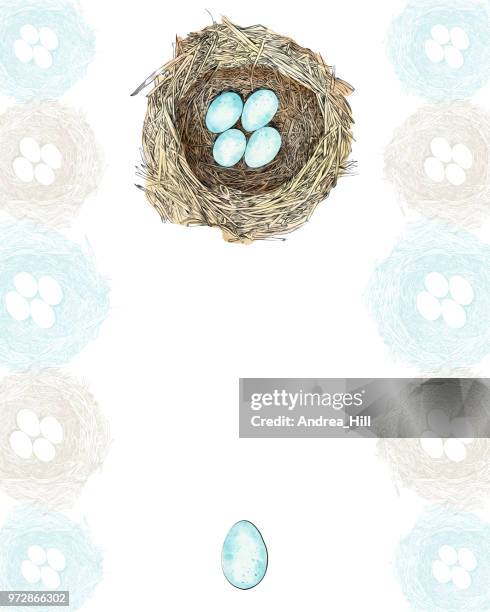 bird nest vector design template with copy space - robin nest stock illustrations