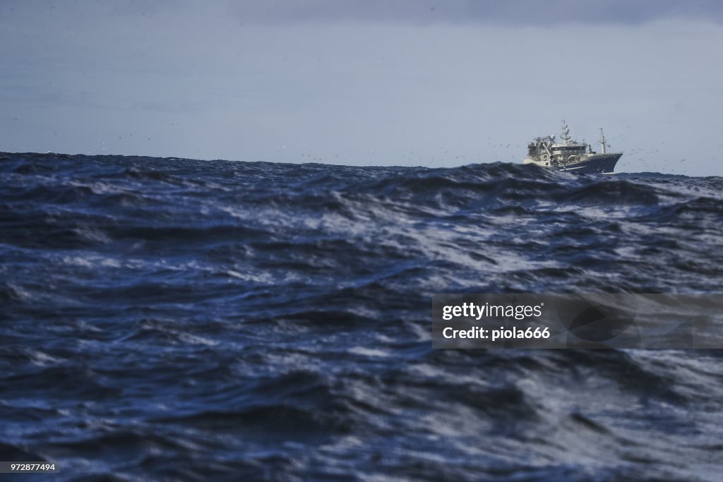 Fishing boat sailing out at rough sea: big waves