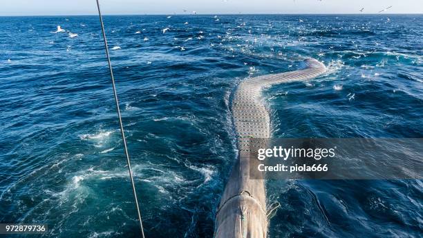 schleppnetz der industriellen fischereinetze - trawler net stock-fotos und bilder