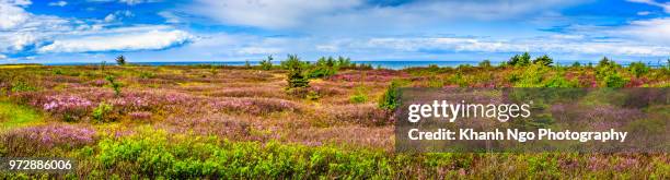pokeshaw rock in new brunswick - bathurst new brunswick stock pictures, royalty-free photos & images