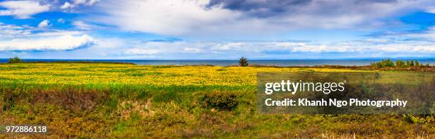 pokeshaw rock in new brunswick - bathurst new brunswick stock pictures, royalty-free photos & images