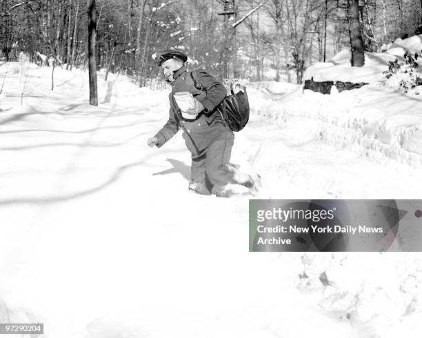 True to the tradition of his calling, Jack Cunningham of the Scarsdale post office plows through snow that is almsot hip-deep to deliver the mail.