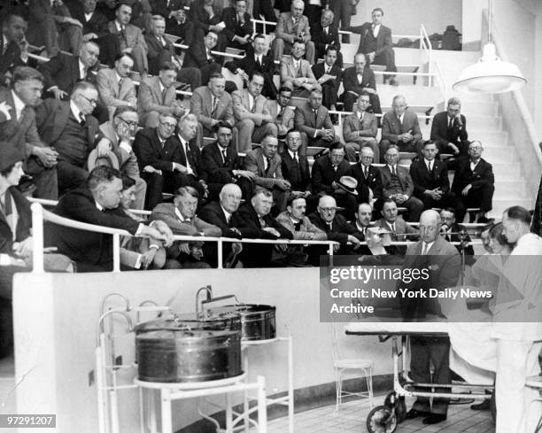 Anna Laughlin Anna Laughlin Photos and Premium High Res Pictures - Getty Images