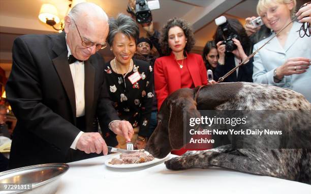 Carlee, a German shorthaired pointer, gets ready to eat her steak lunch at Sardi's during a whirlwind trip around Manhattan after she won the top...