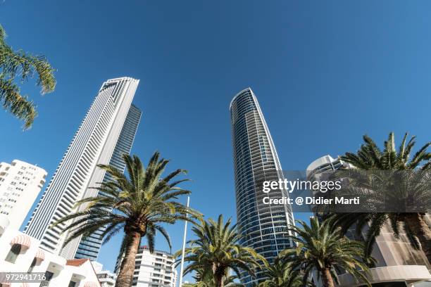 condominium towers in surfers paradise on the gold coast on a sunny day in queensland, australia - surfers paradise stock pictures, royalty-free photos & images