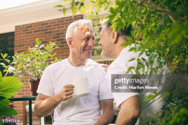 loving middle aged gay couple - marilyn nieves stock pictures, royalty-free photos & images