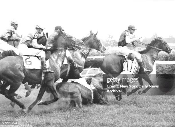 They're Off . . . And Running. His horse crumbling under him at the first jump, Harry Hatcher tumbles heavily to the grass at Aqueduct as other...