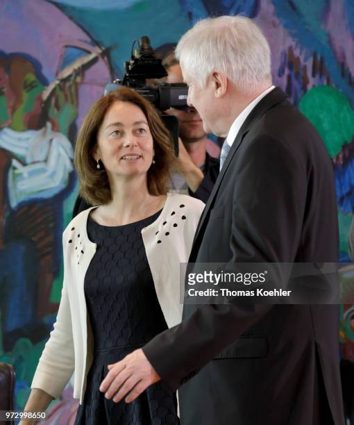 German Justice Minister Katarina Barley and Interior Minister Horst Seehofer arrive for the Weekly Government Cabinet Meeting on June 13, 2018 in...