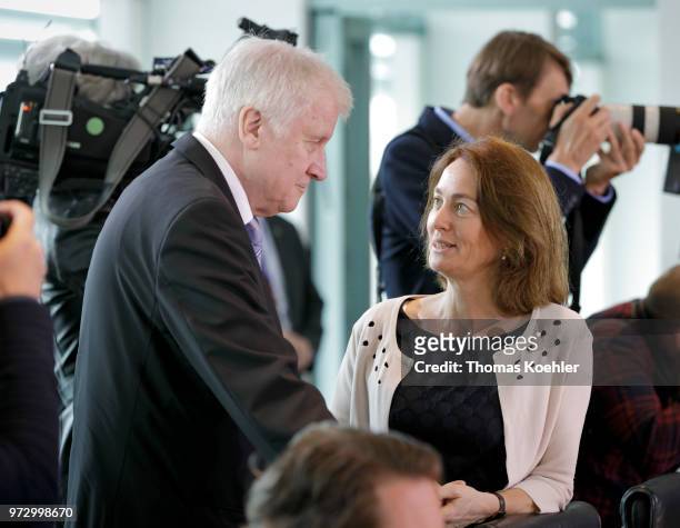 German Justice Minister Katarina Barley and Interior Minister Horst Seehofer arrive for the Weekly Government Cabinet Meeting on June 13, 2018 in...