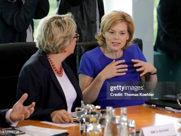 German Agriculture and Consumer Protection Minister Julia Kloeckner and German Environment Minister Svenja Schulze before the Weekly Government...