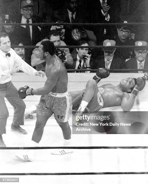 Joe Frazier confidently heads for neutral corner after knocking out Muhammad Ali in the 15th round at Madison Square Garden. The decesion was...