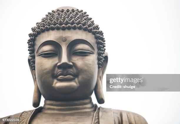 part of lingshan giant buddha - chinese worship the god of fortune in guiyuan buddhist temple stockfoto's en -beelden