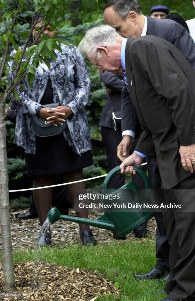 DaveThomas, founder of Wendy's, pours water on a cherry tree