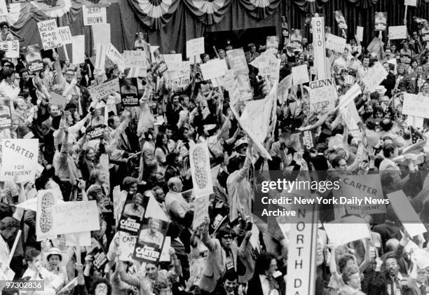 Cheering delegates at the Democratic National Convention.