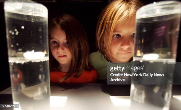 Sisters Claire and Julia van Zweiten of Scarsdale, N.Y., take closeup looks at some preserved specimens on the opening day of "Bodies...The...