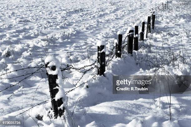 barbed wire fence with snow - black and white photo - gulag stock pictures, royalty-free photos & images